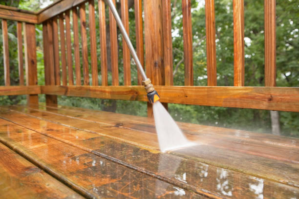 Best Spring Cleaning  in Stapleton, AL